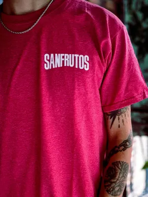 CAMISETA LOGO SANFRUTOS