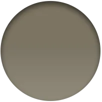 Correa Loop Alpine verde oliva (49 mm) - Talla S