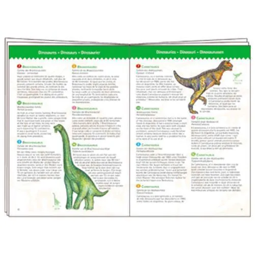 Djeco Observation Puzzle 100pc - Dinosaurs