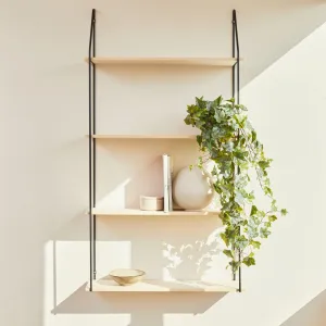 Hiedra Chicago Fosted