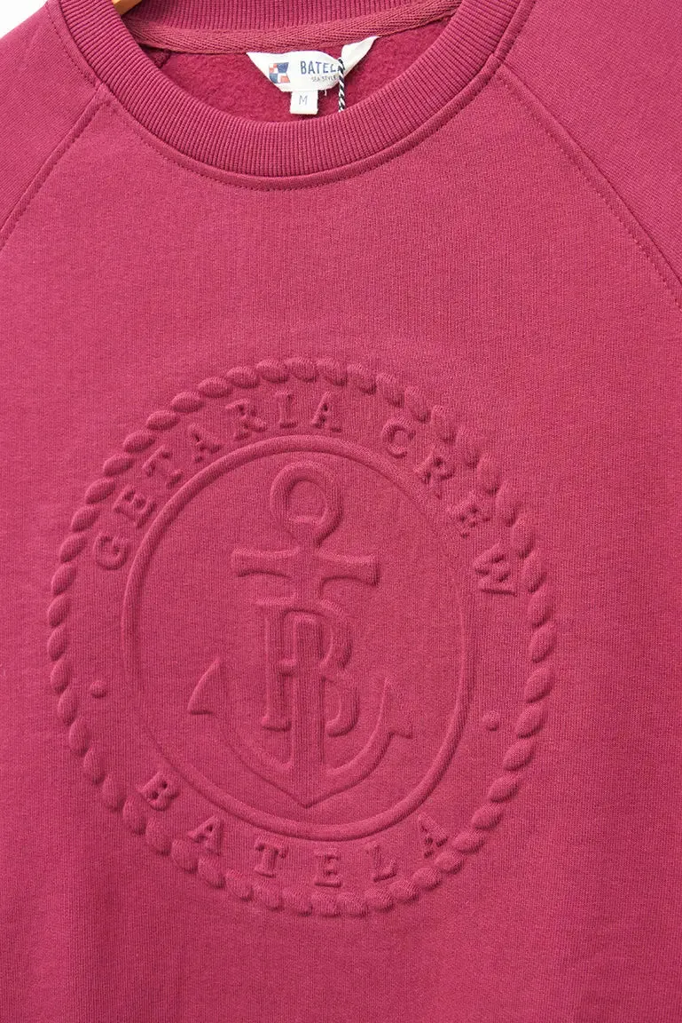 Jersey o sudadera de algodón 100% terry