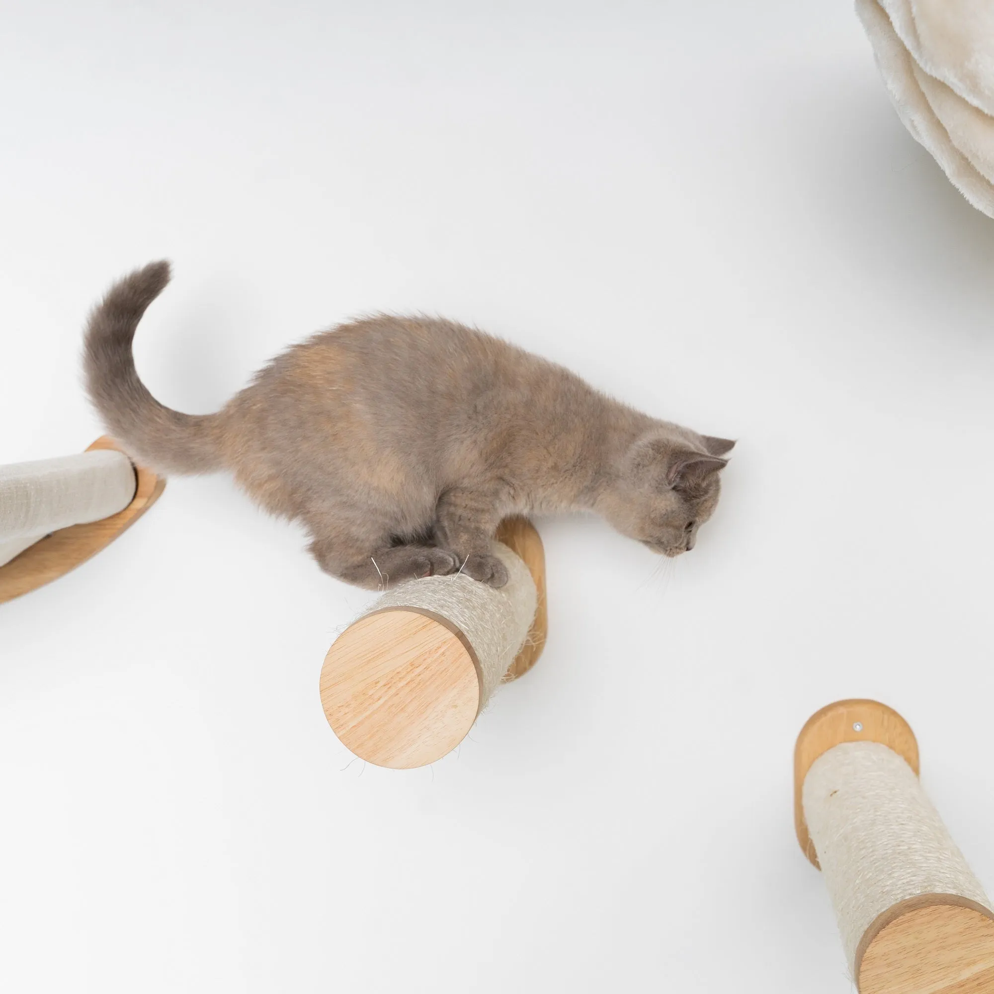 Muro Escalada Para Gatos - Set de Postes Sisal (Beige)