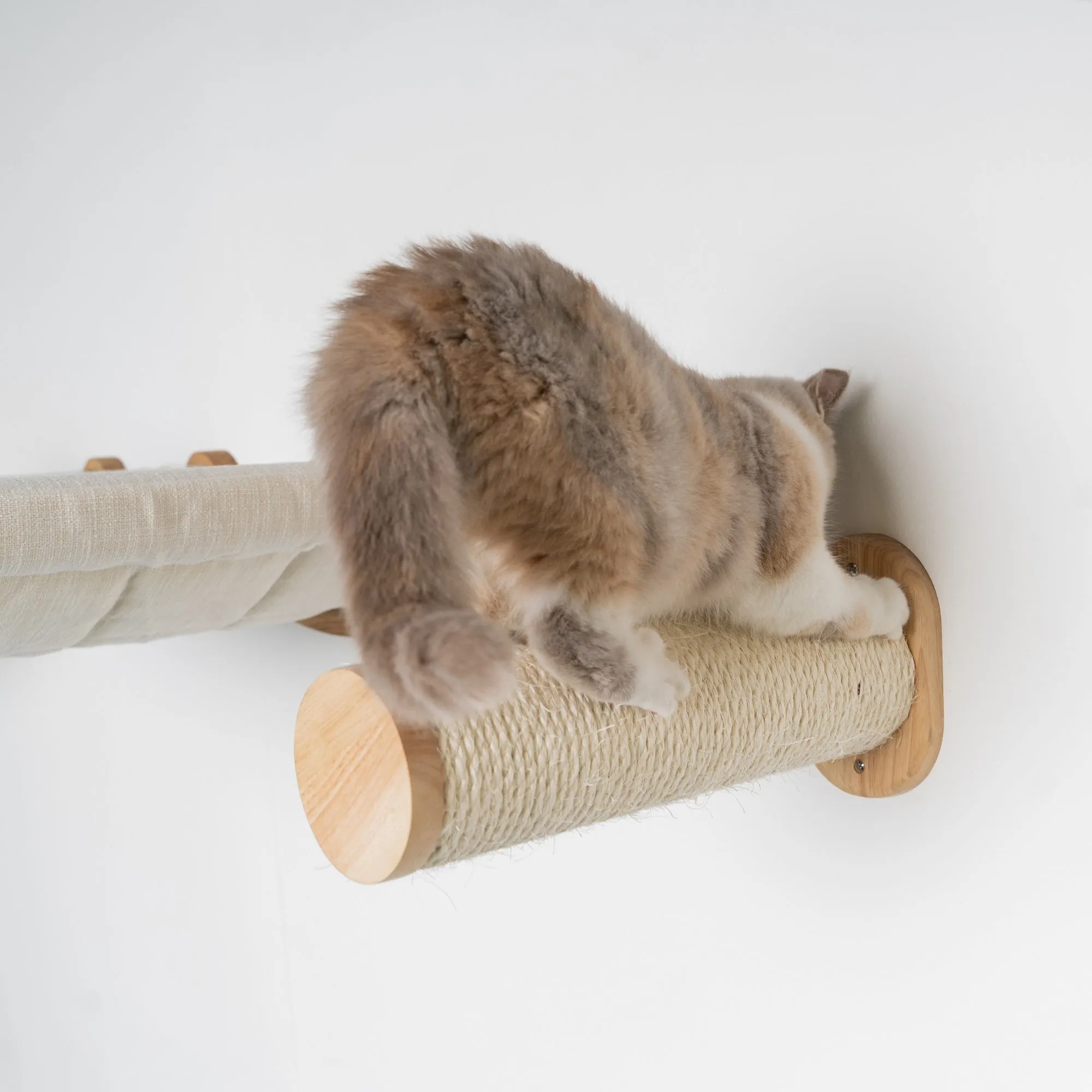 Muro Escalada Para Gatos - Set de Postes Sisal (Beige)