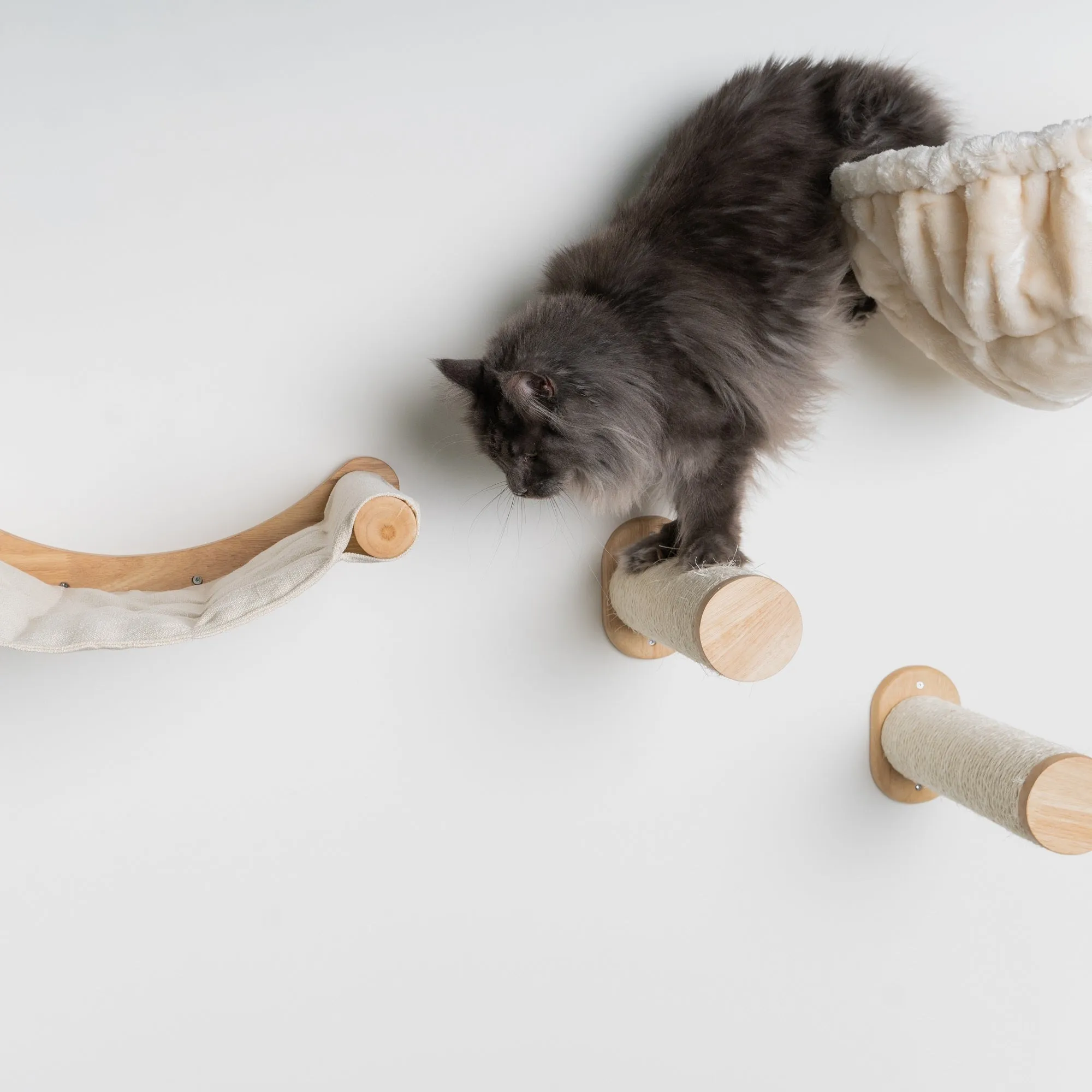 Muro Escalada Para Gatos - Set de Postes Sisal (Beige)