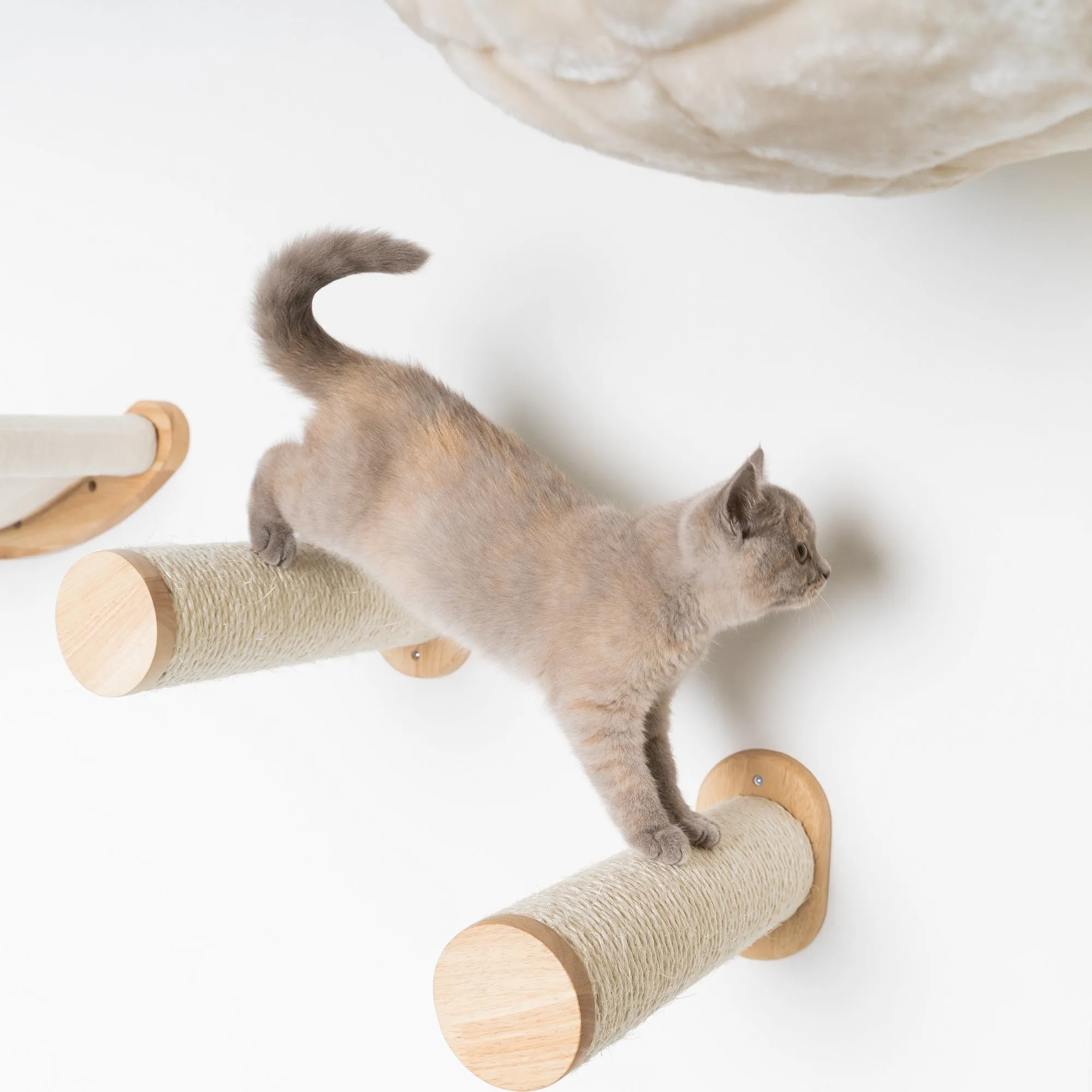 Muro Escalada Para Gatos - Set de Postes Sisal (Beige)
