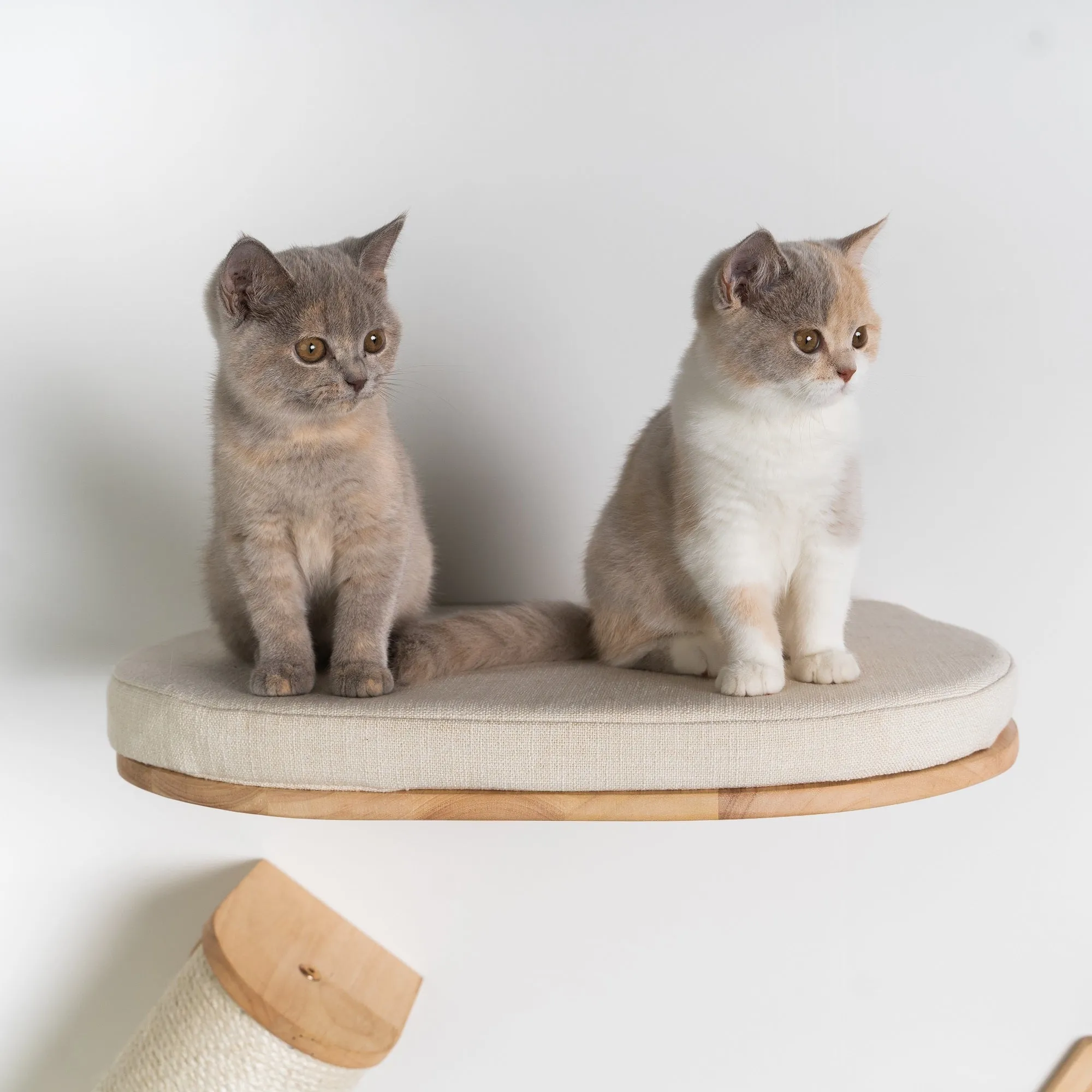 Muro Escalada Para Gatos - Sofá para Gatos de Luxe (Beige)