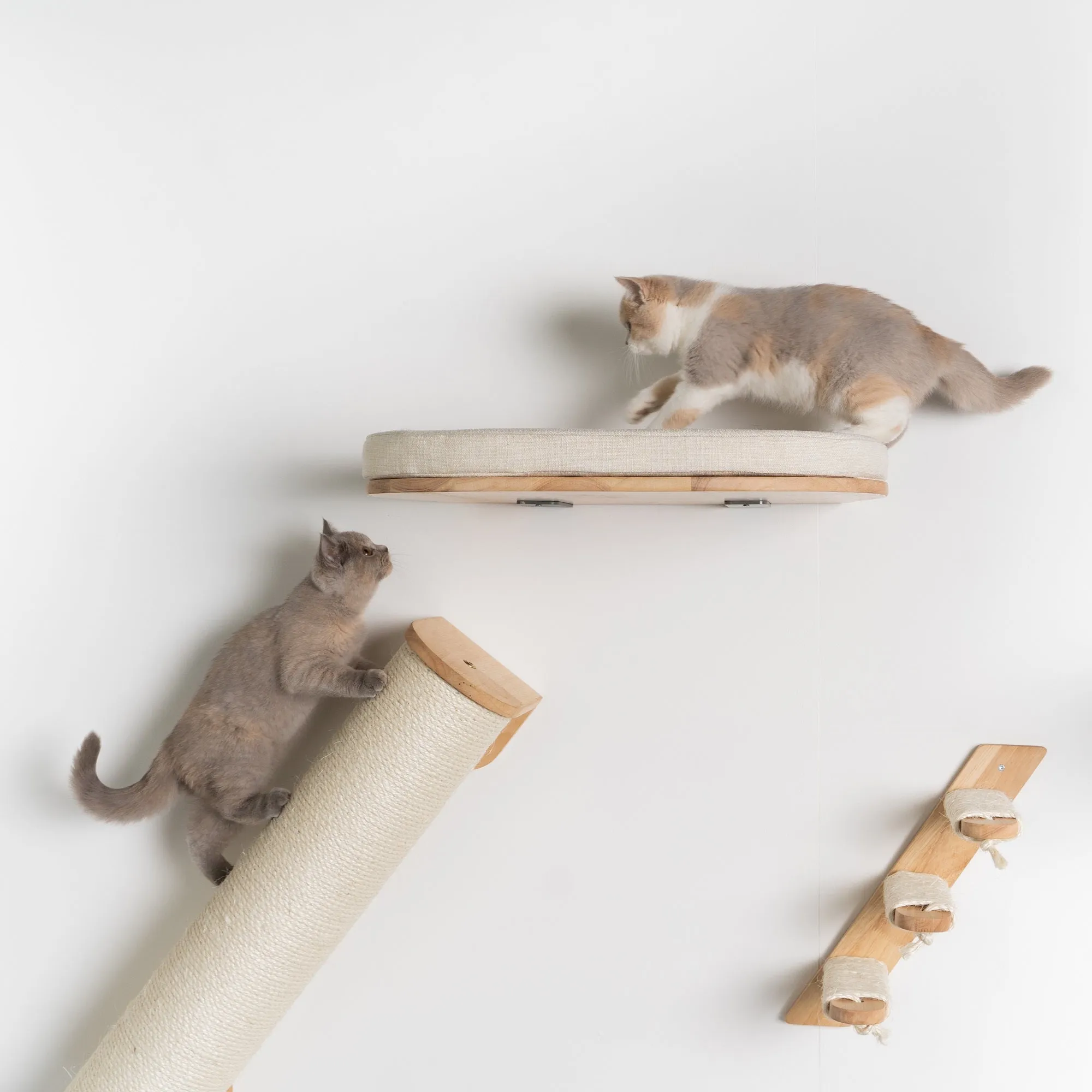 Muro Escalada Para Gatos - Sofá para Gatos de Luxe (Beige)