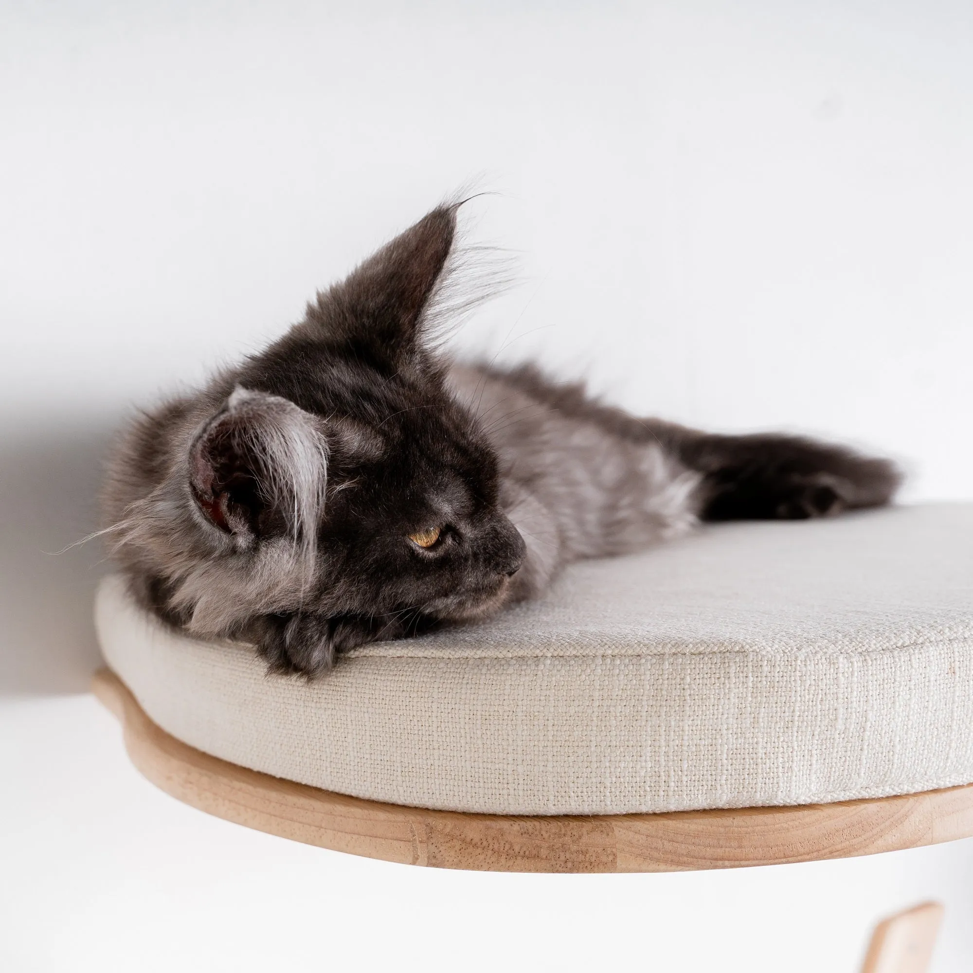 Muro Escalada Para Gatos - Sofá para Gatos de Luxe (Beige)