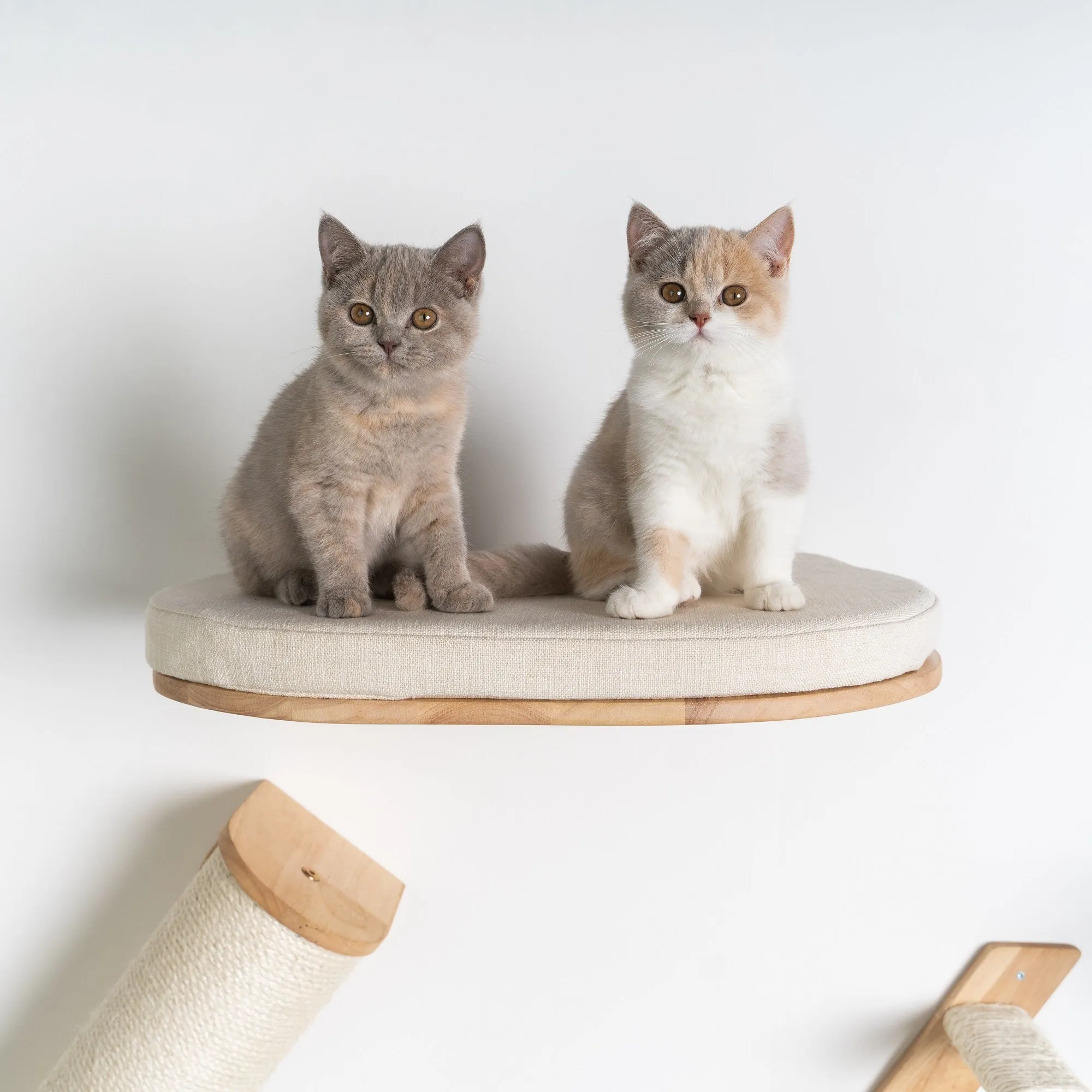 Muro Escalada Para Gatos - Sofá para Gatos de Luxe (Beige)