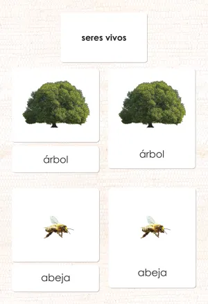 Spanish Living 3-Part Cards